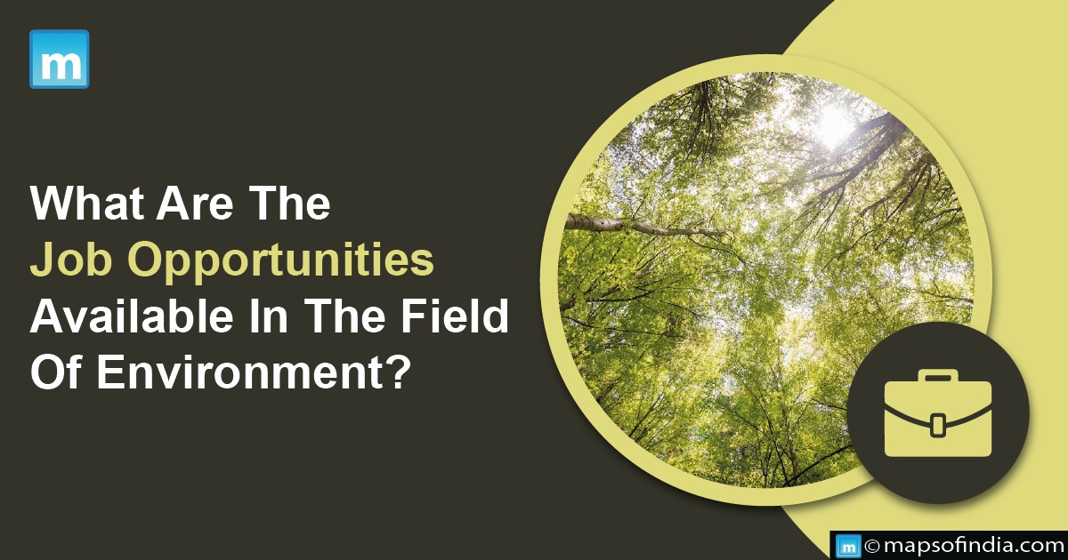 What Are The Job Opportunities Available In The Field Of Environment?