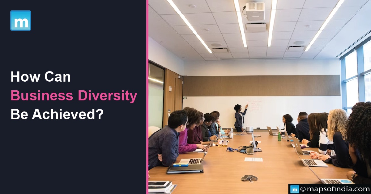 How Can Business Diversity Be Achieved?