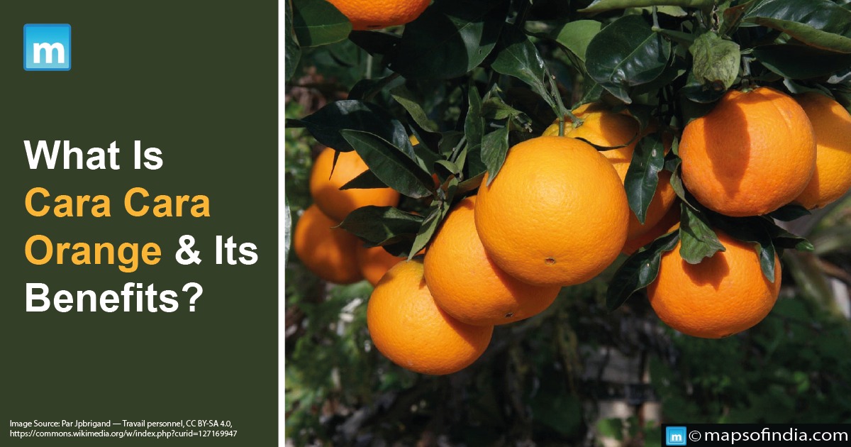 What Is Cara Cara Orange & Its Benefits?