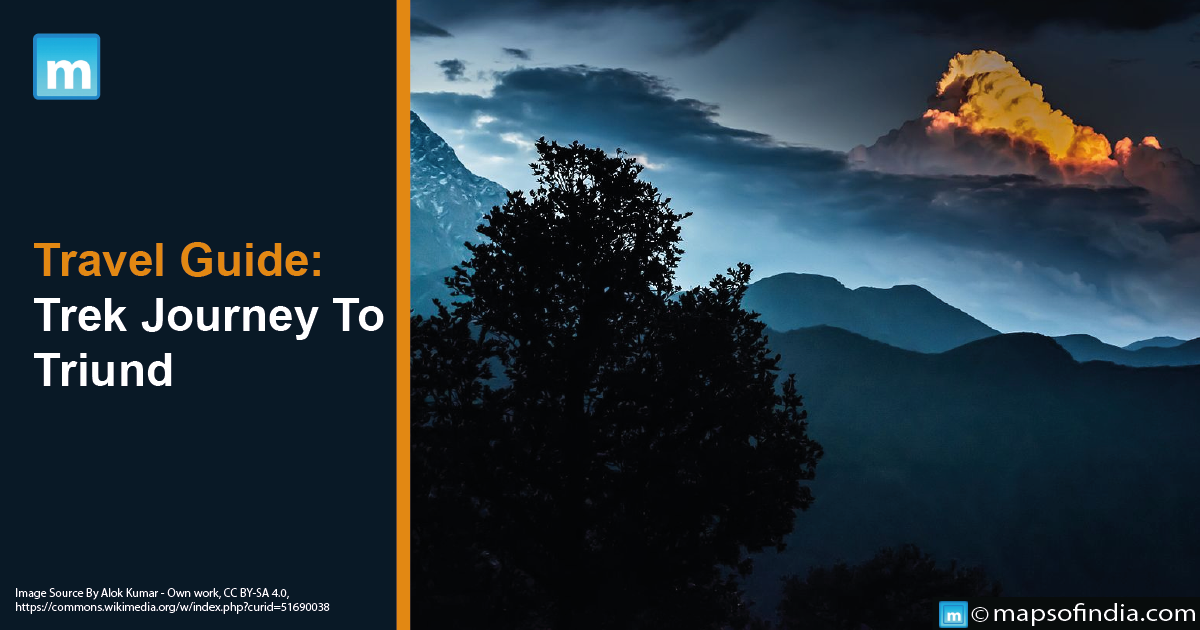 Travel Guide: Trek Journey To Triund