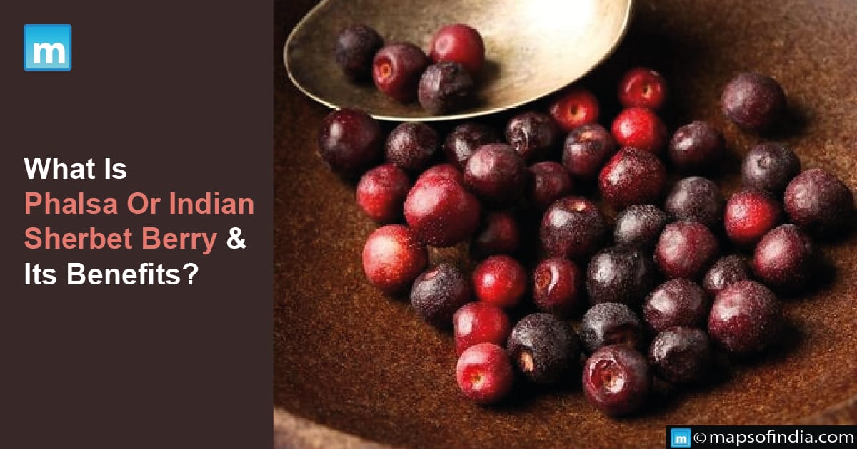 What Is Phalsa Or Indian Sherbet Berry & Its Benefits?