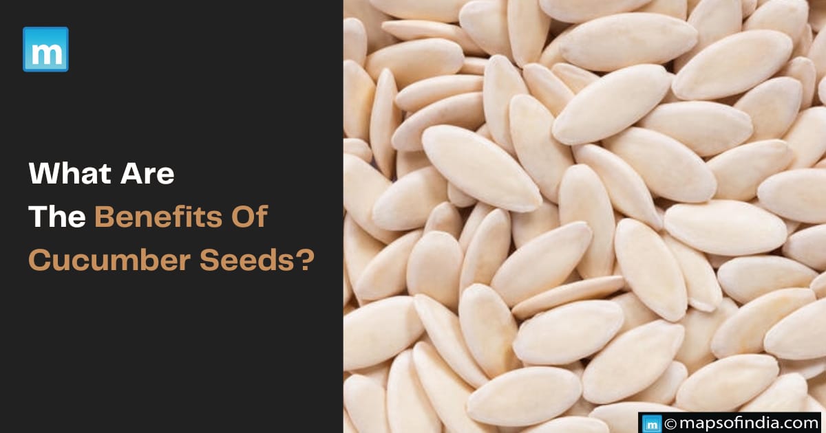 What Are The Benefits Of Cucumber Seeds?