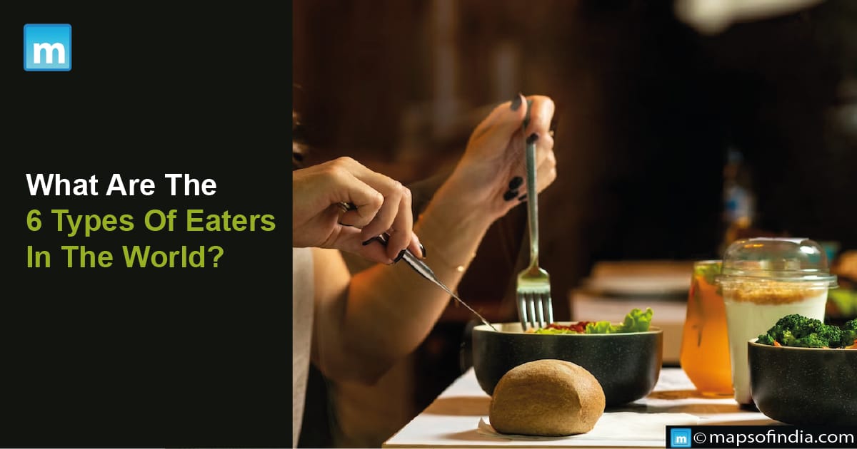 What Are The 6 Types Of Eaters In The World?