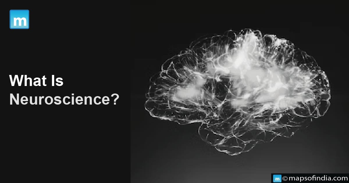 What Is Neuroscience?