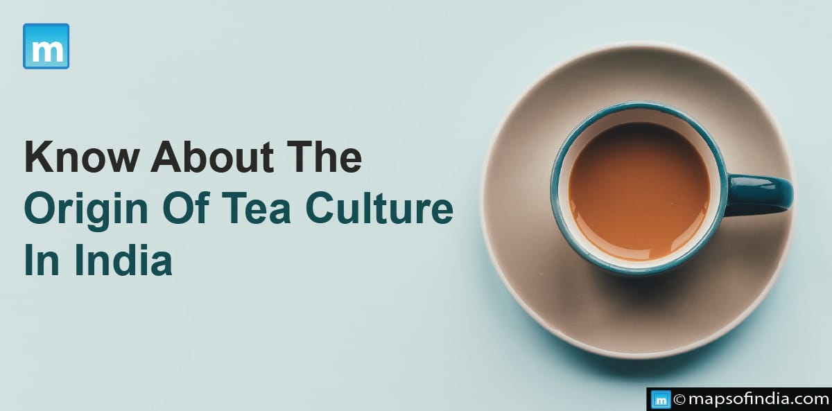 Know About The Origin Of Tea Culture In India
