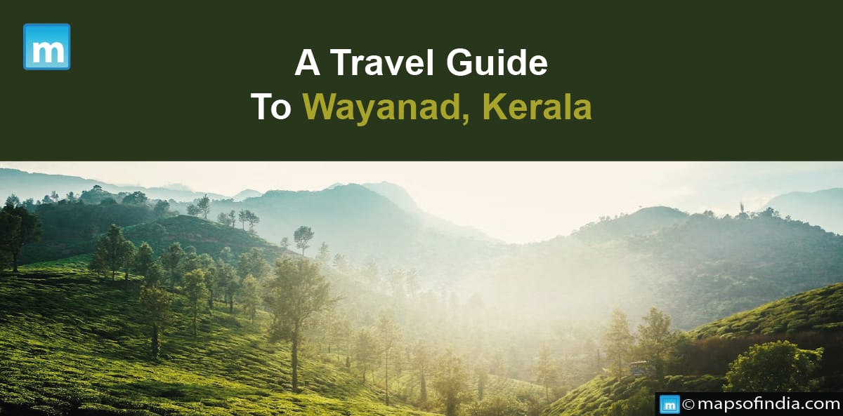 A Travel Guide To Wayanad, Kerala