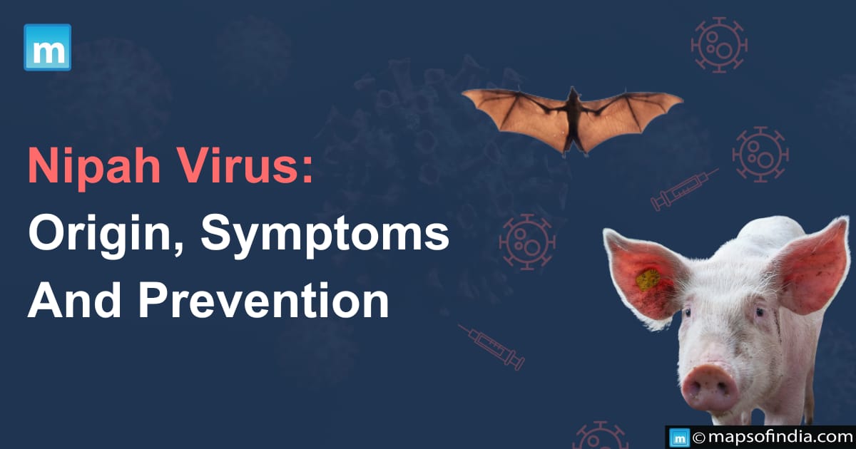Nipah Virus: Origin, Symptoms And Prevention