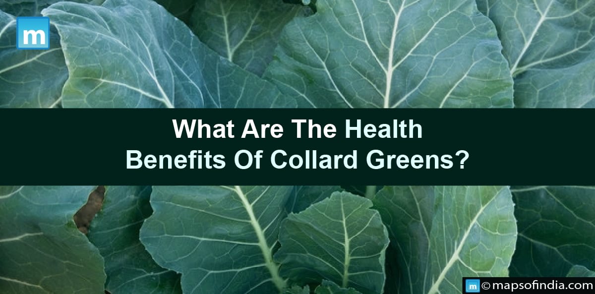 What Are The Health Benefits Of Collard Greens?