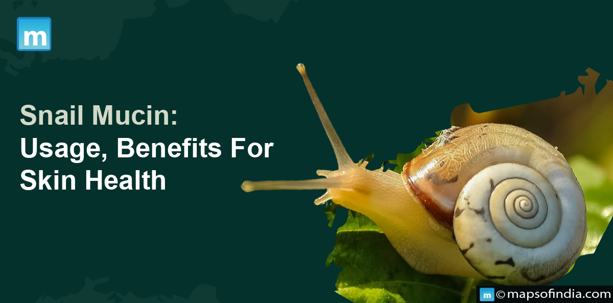 Snail Mucin: Usage, Benefits For Skin Health