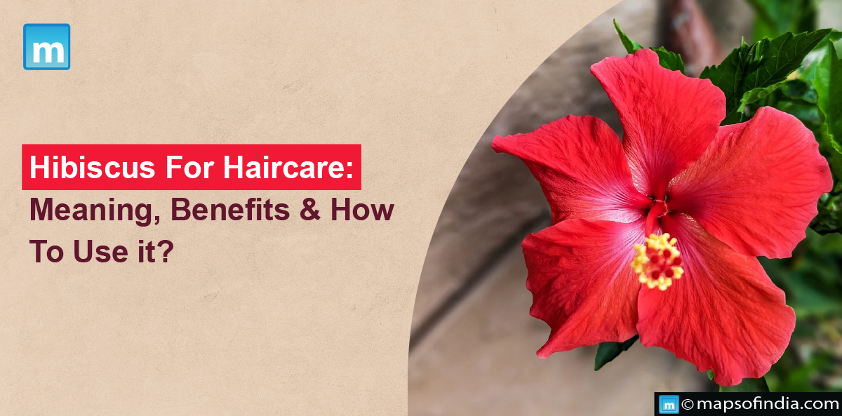 Hibiscus For Haircare: Meaning, Benefits And How To Use It?