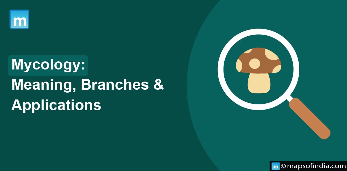 Mycology: Meaning, Branches & Applications
