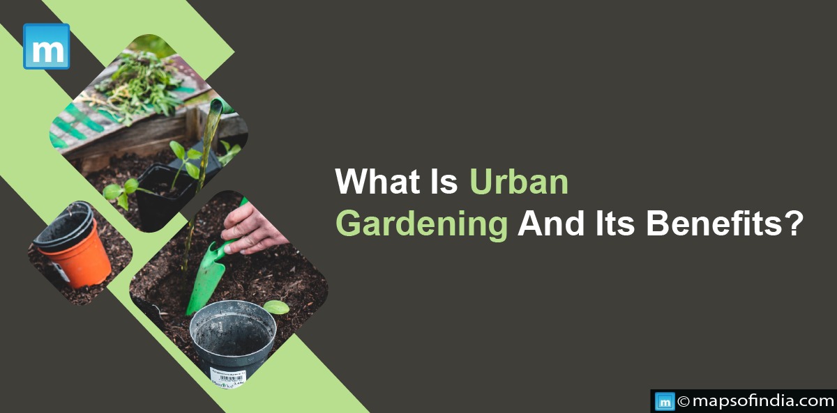 What Is Urban Gardening And Its Benefits?