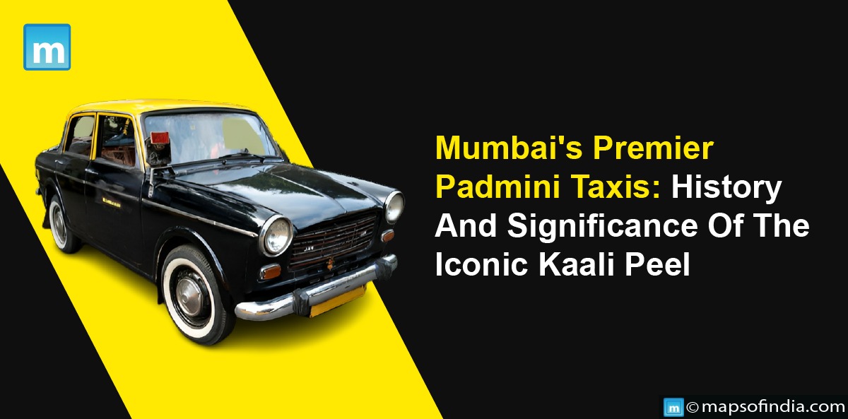 Mumbai’s Premier Padmini Taxis: History And Significance Of The Iconic Kaali Peeli