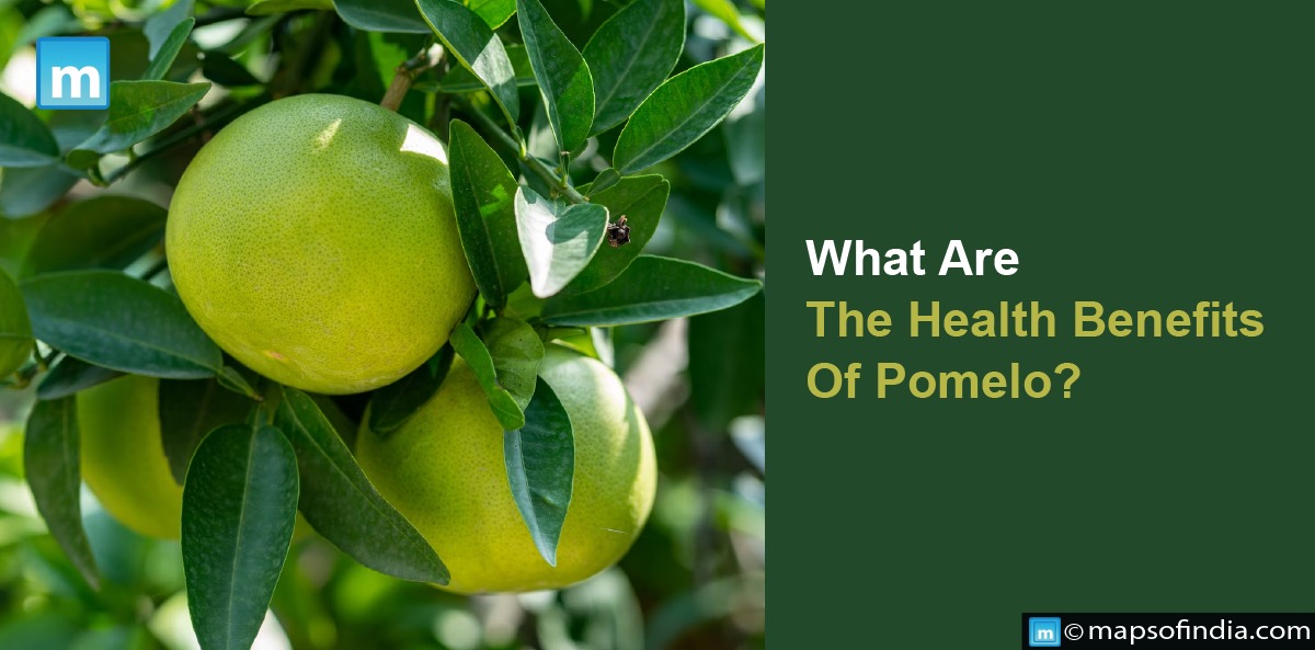 What Are The Health Benefits Of Pomelo?