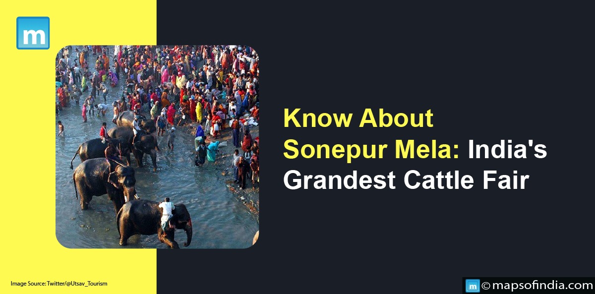 Know About Sonepur Mela: India's Grandest Cattle Fair
