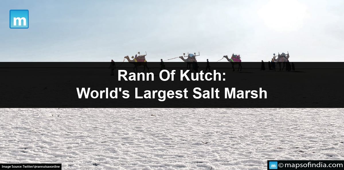 Rann Of Kutch: World's Largest Salt Marsh