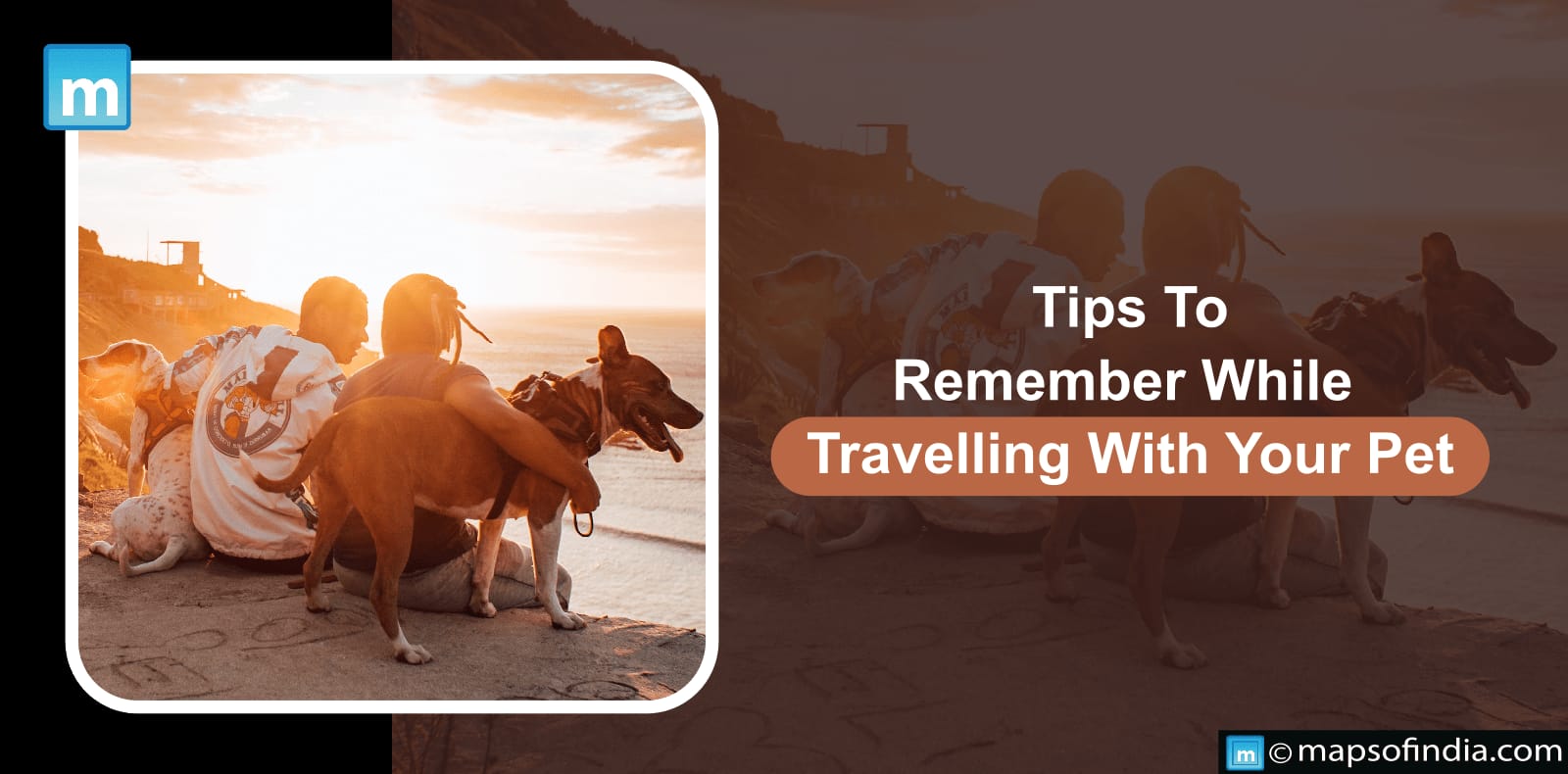 Tips To Remember While Travelling With Your Pet