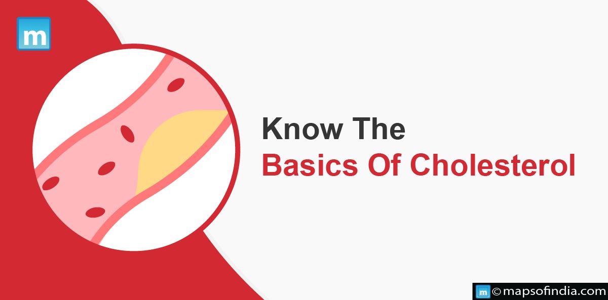 Know The Basics Of Cholesterol