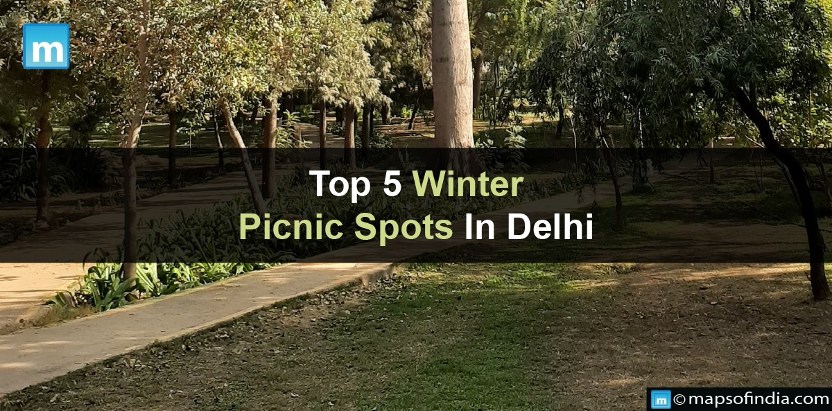 Top 5 Winter Picnic Spots In Delhi