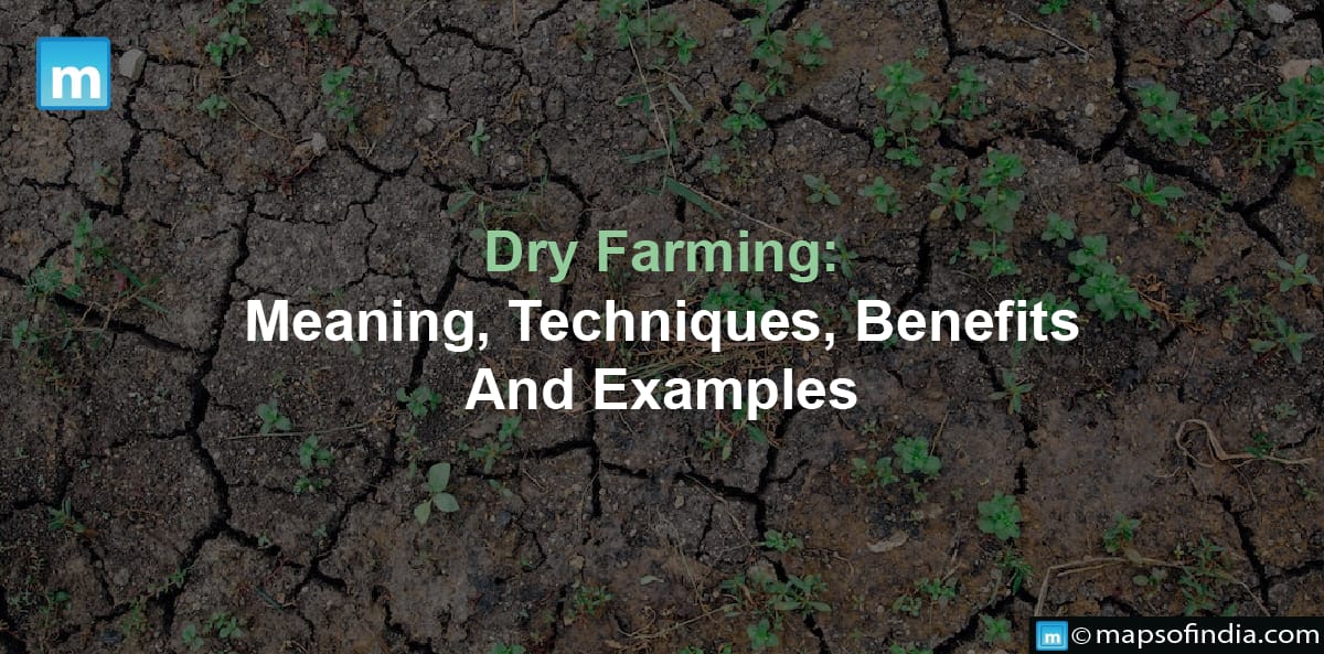 Dry Farming: Meaning, Techniques, Benefits And Examples