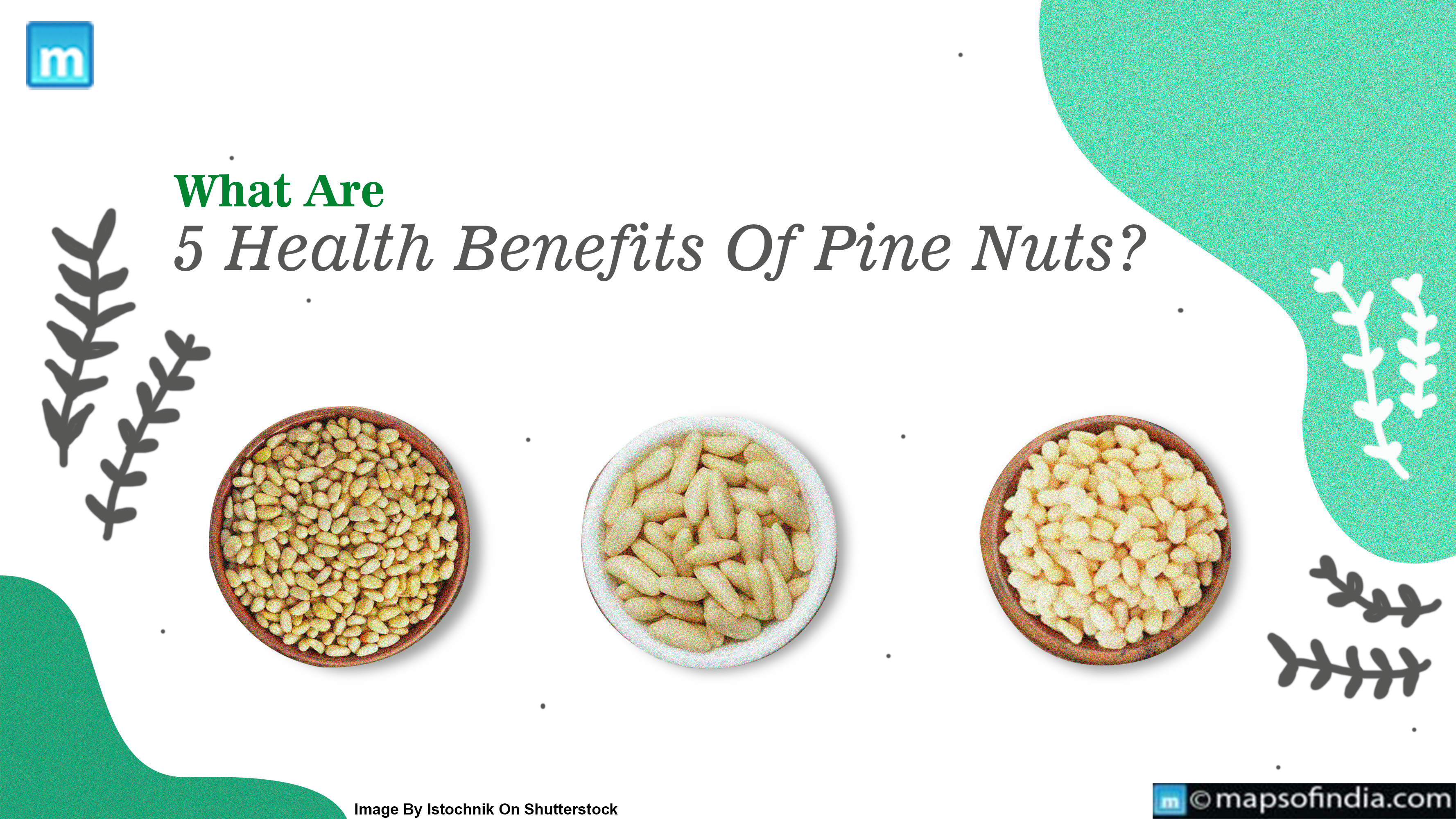 What Are 5 Health Benefits Of Pine Nuts?