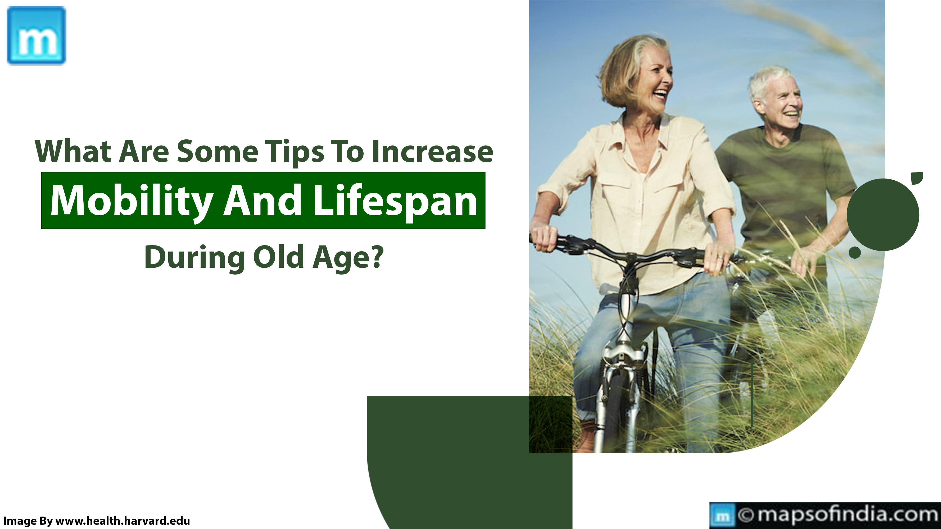 What Are Some Tips To Increase Mobility And Lifespan During Old Age?