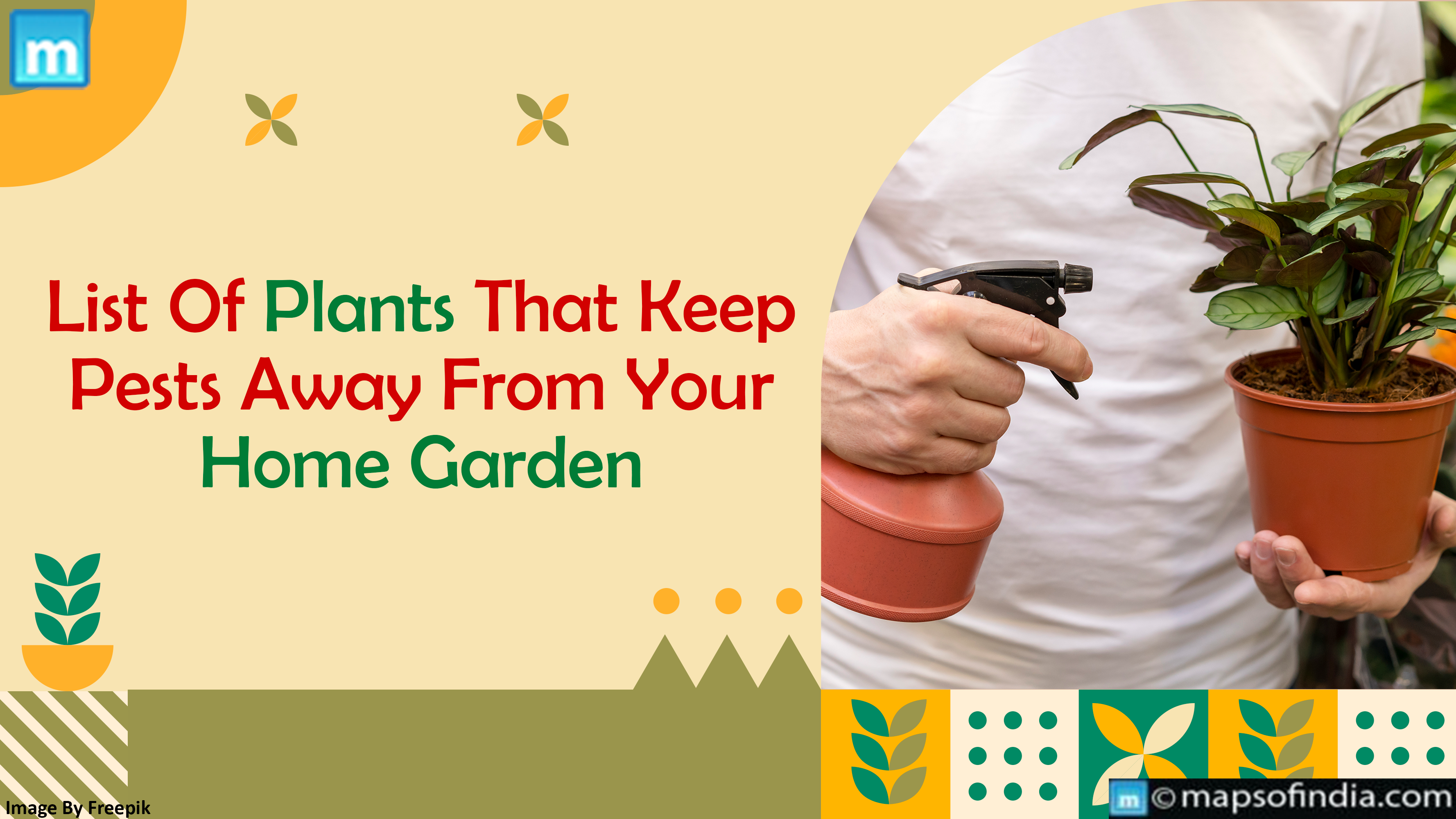 List Of Plants That Keep Pests Away From Your Home Garden