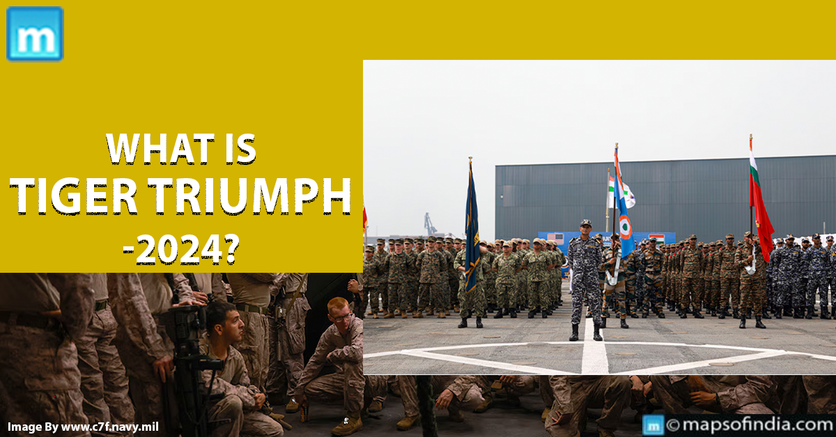 What Is Tiger Triumph-2024?