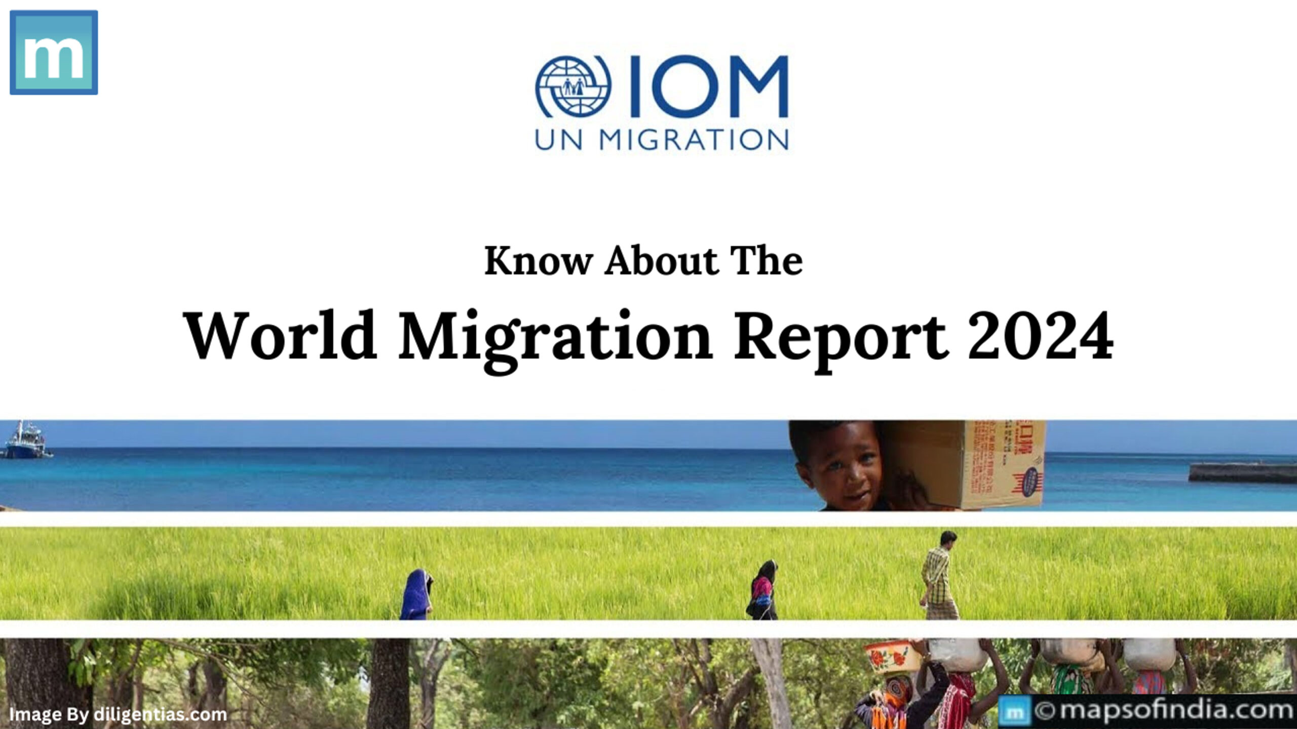 Know About The World Migration Report 2024