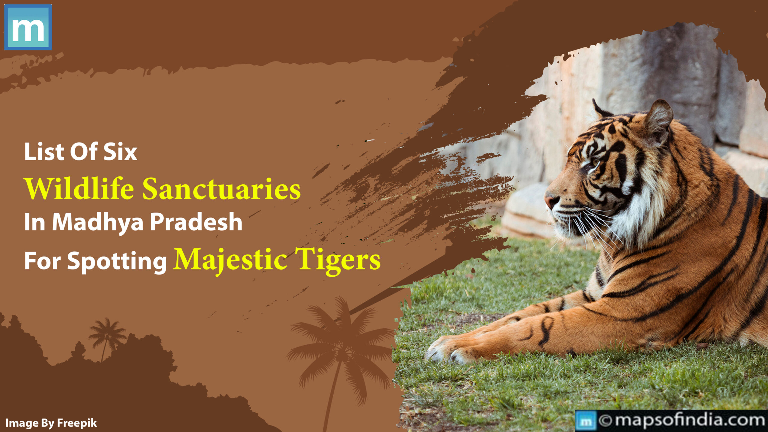 List Of Six Wildlife Sanctuaries In Madhya Pradesh For Spotting Majestic Tigers