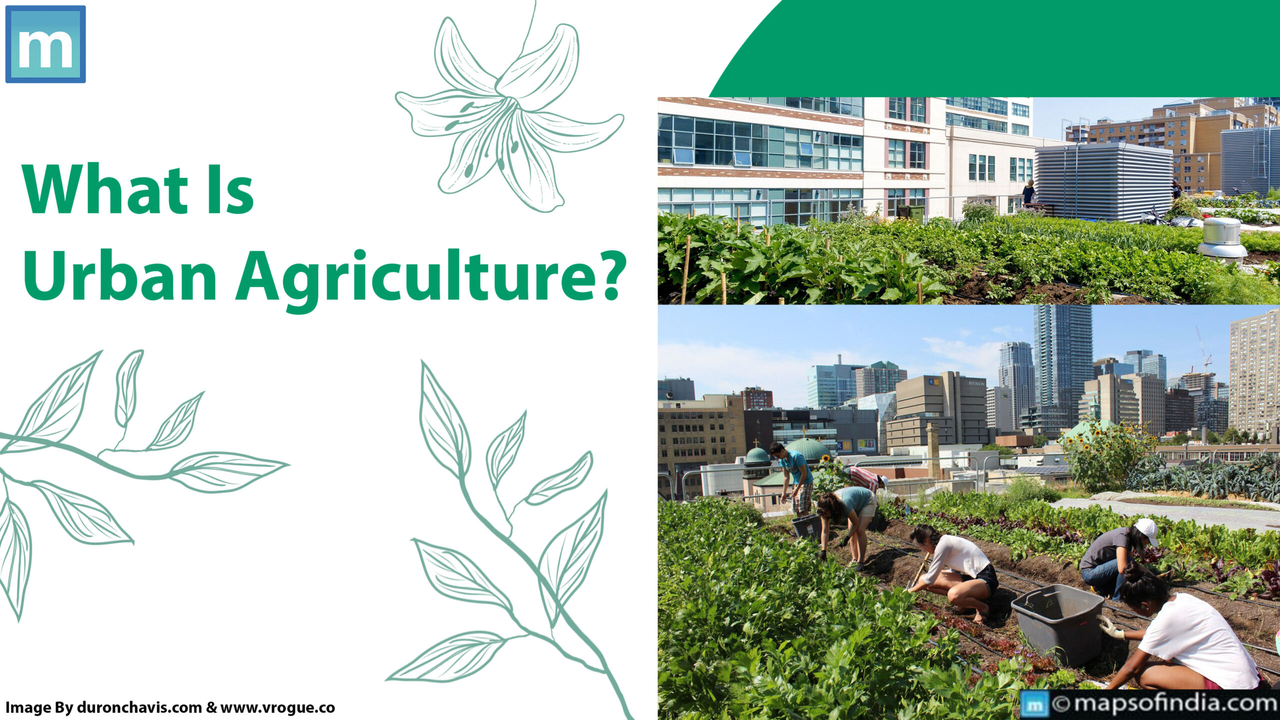 What Is Urban Agriculture?