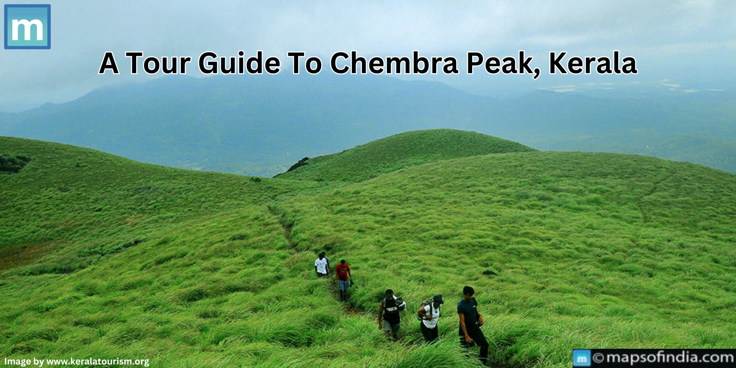 A Tour Guide To Chembra Peak, Kerala
