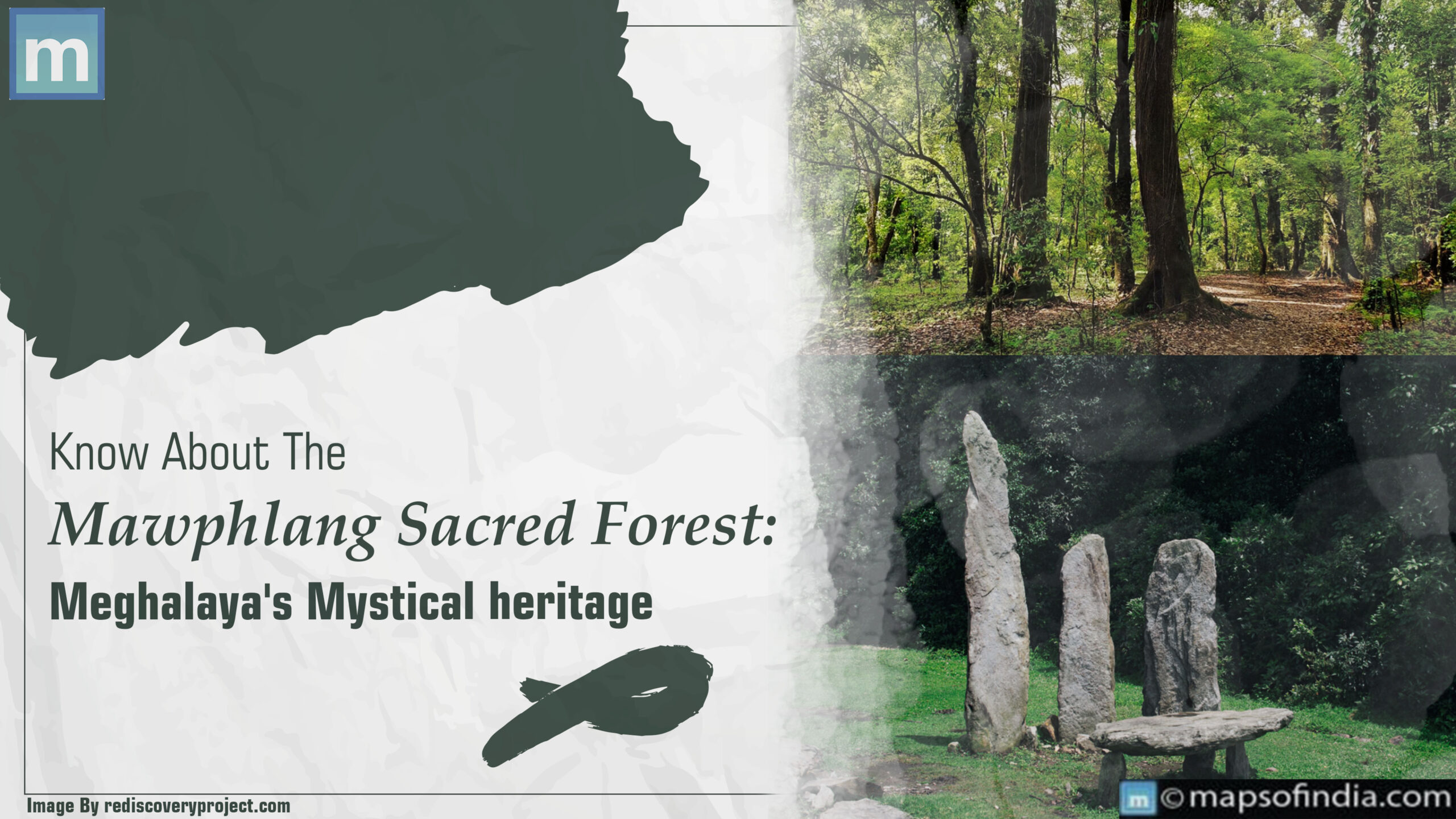 Know About The Mawphlang Sacred Forest: Meghalaya's Mystical Heritage
