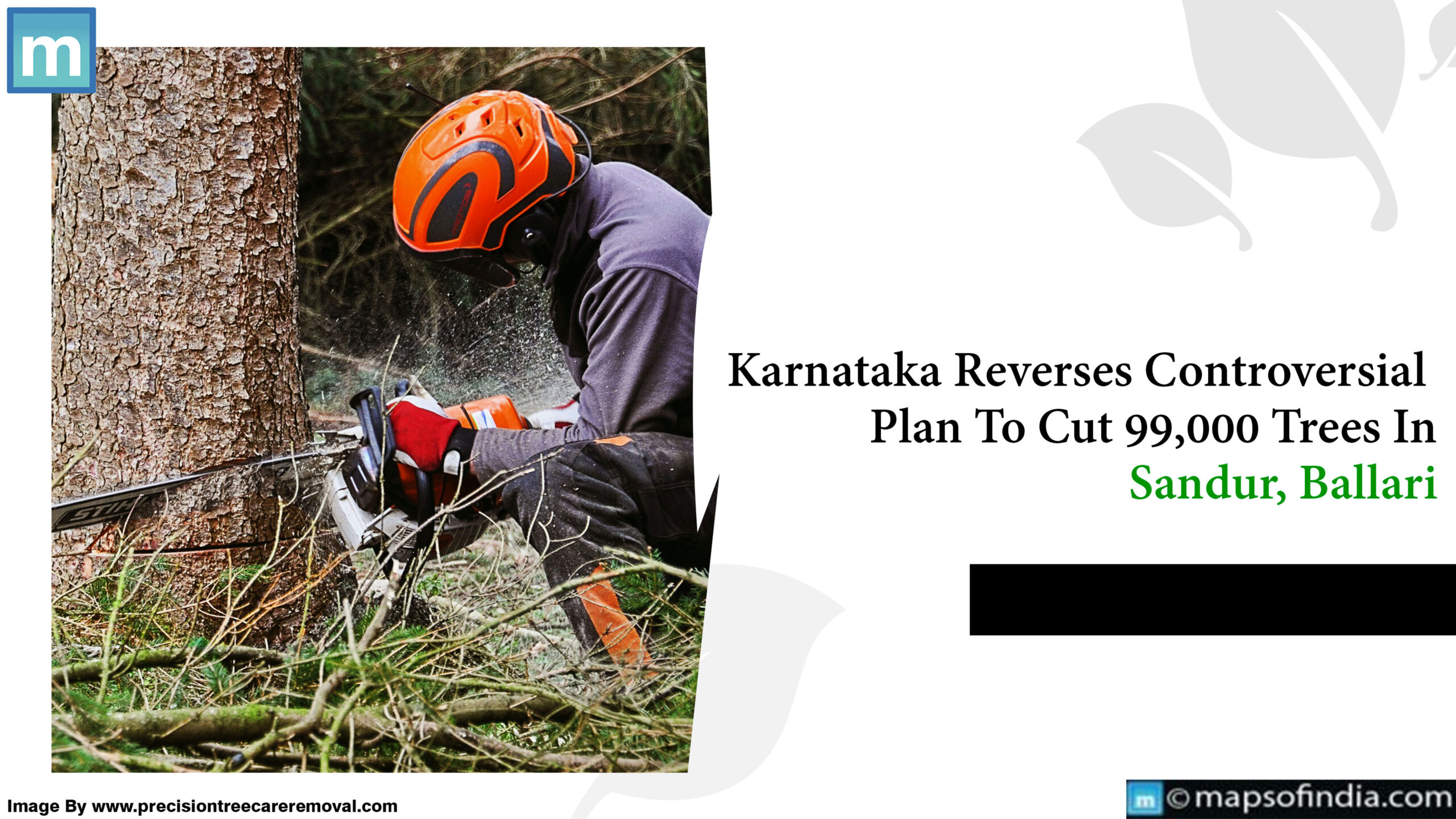 Karnataka Reverses Controversial Plan To Cut 99,000 Trees In Sandur, Ballari
