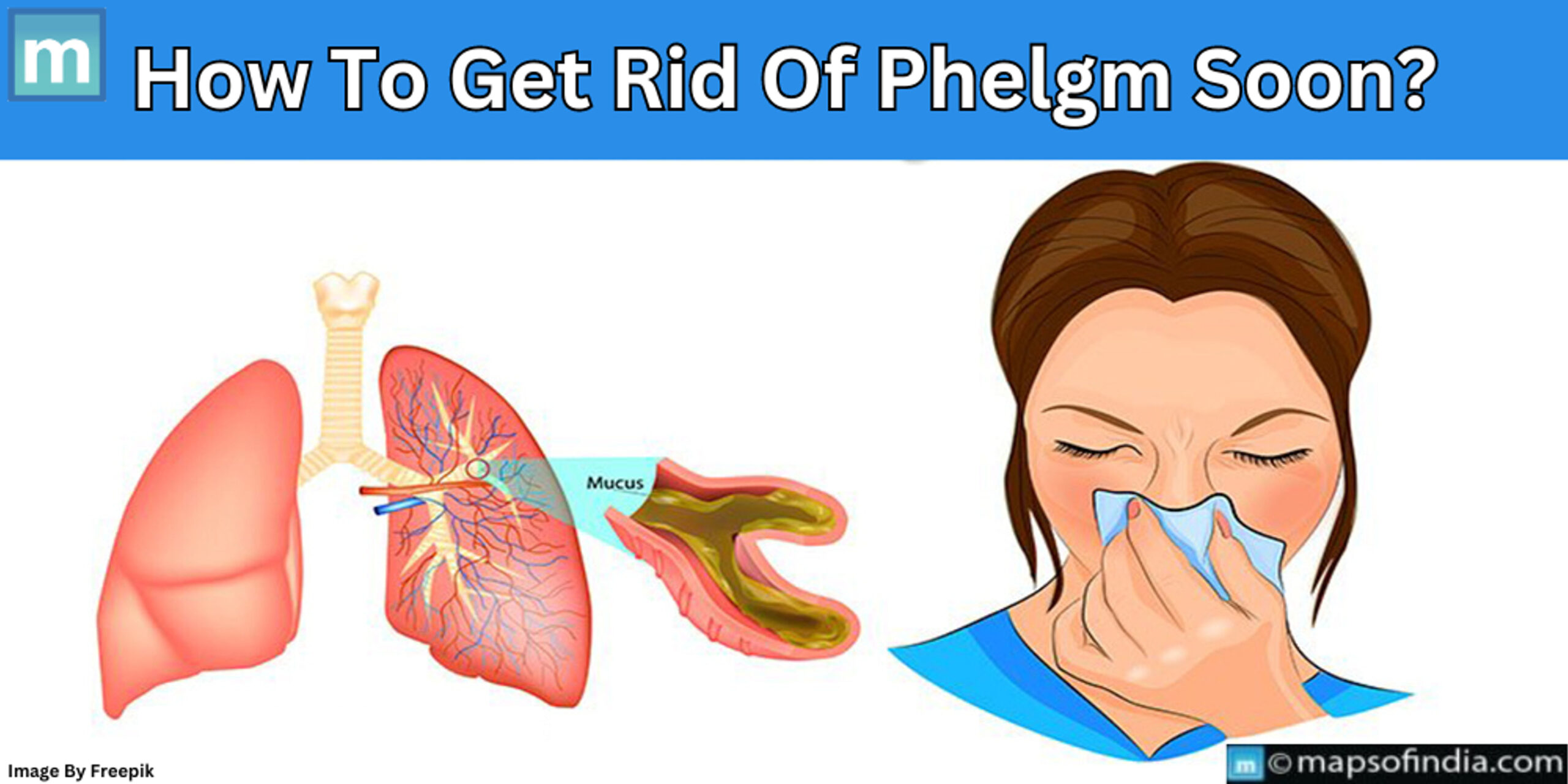 How To Get Rid Of Phlegm Soon?