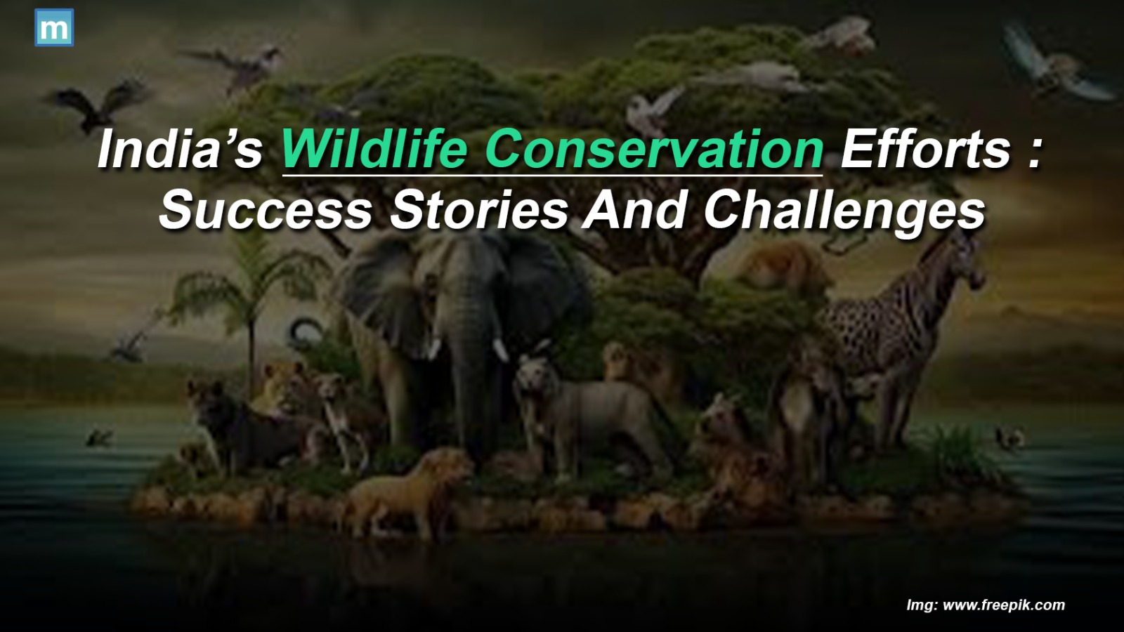 India's Wildlife Conservation Efforts: Success Stories And Challenges