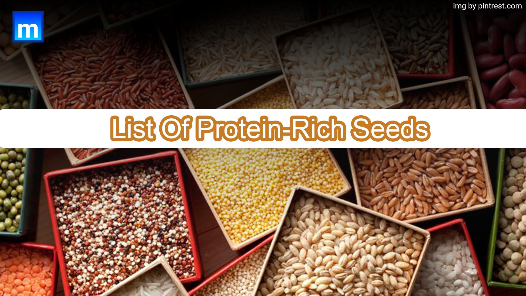 List Of Protein-Rich Seeds