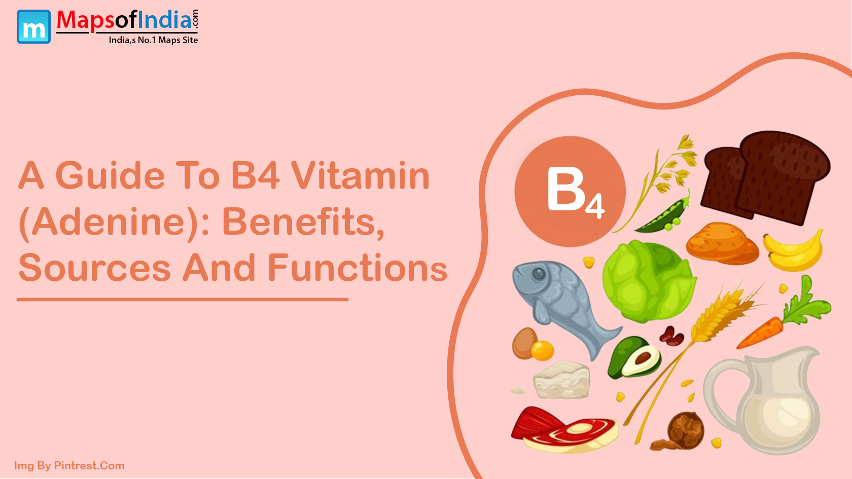 A Guide To B4 Vitamin (Adenine): Benefits, Sources And Functions