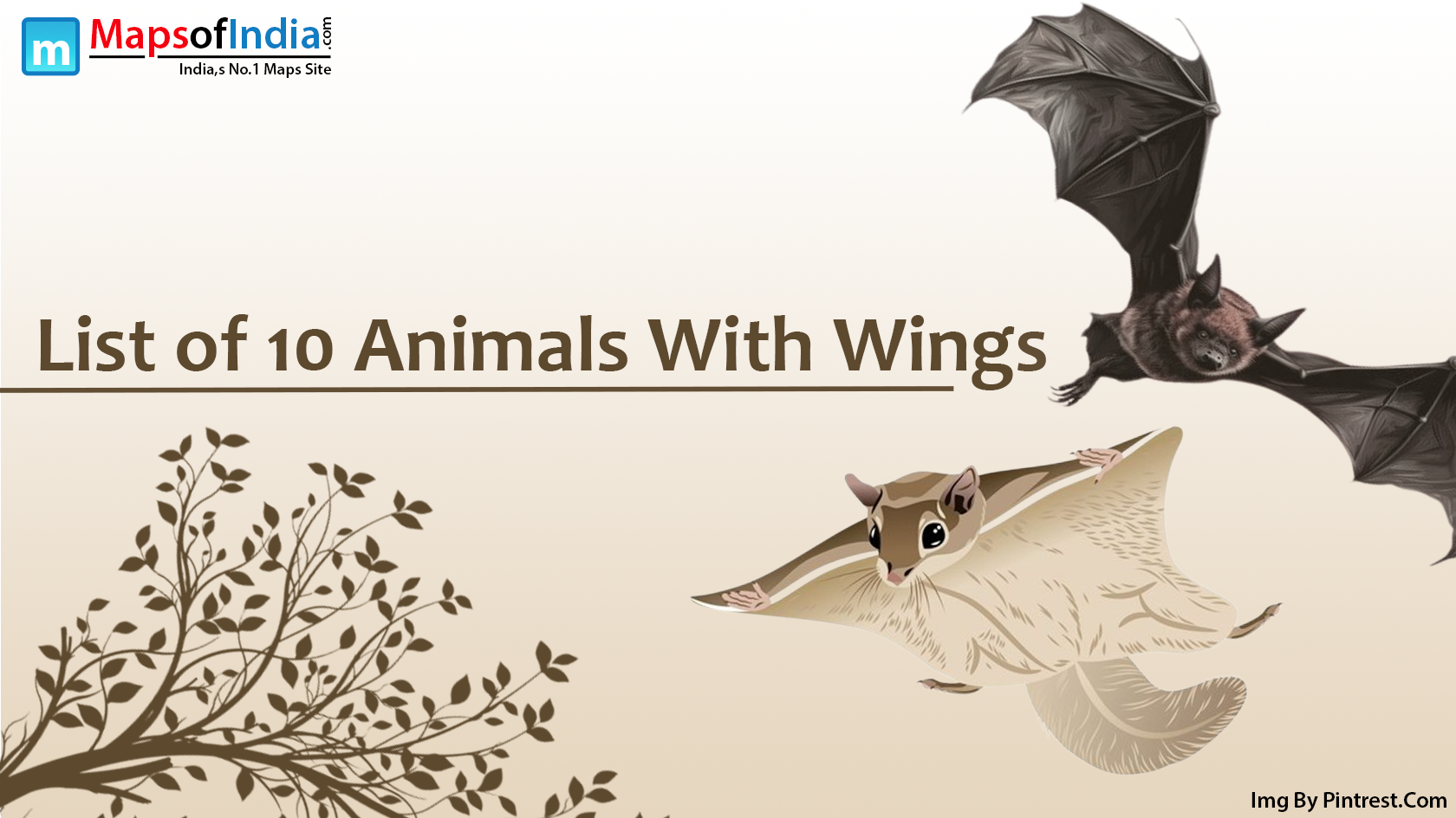 List Of 10 Animals With Wings