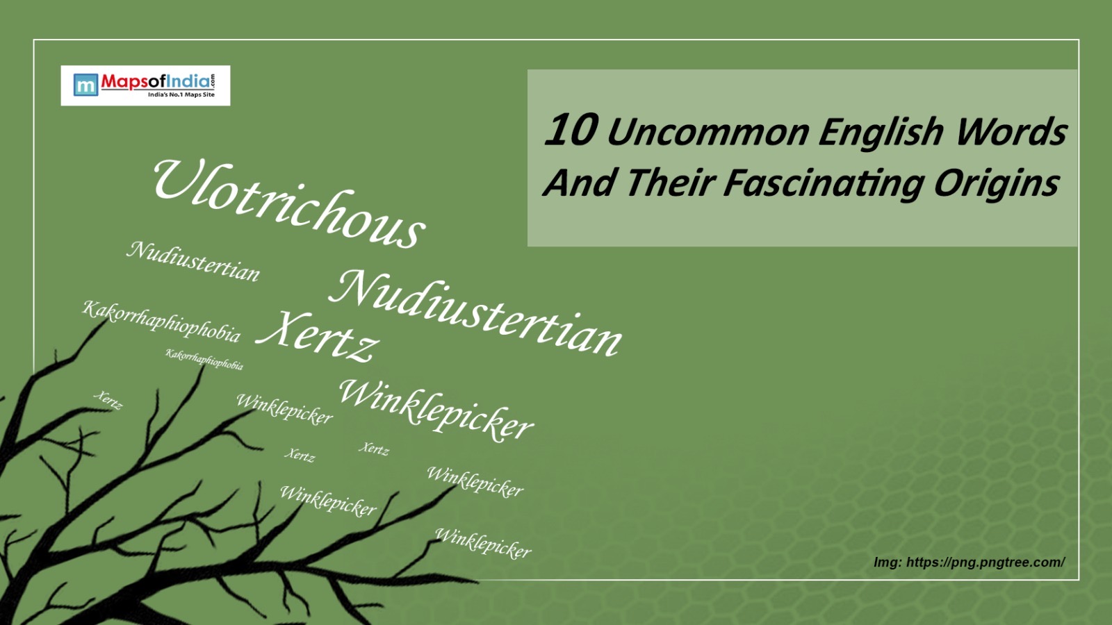 10 Uncommon English Words And Their Fascinating Origins