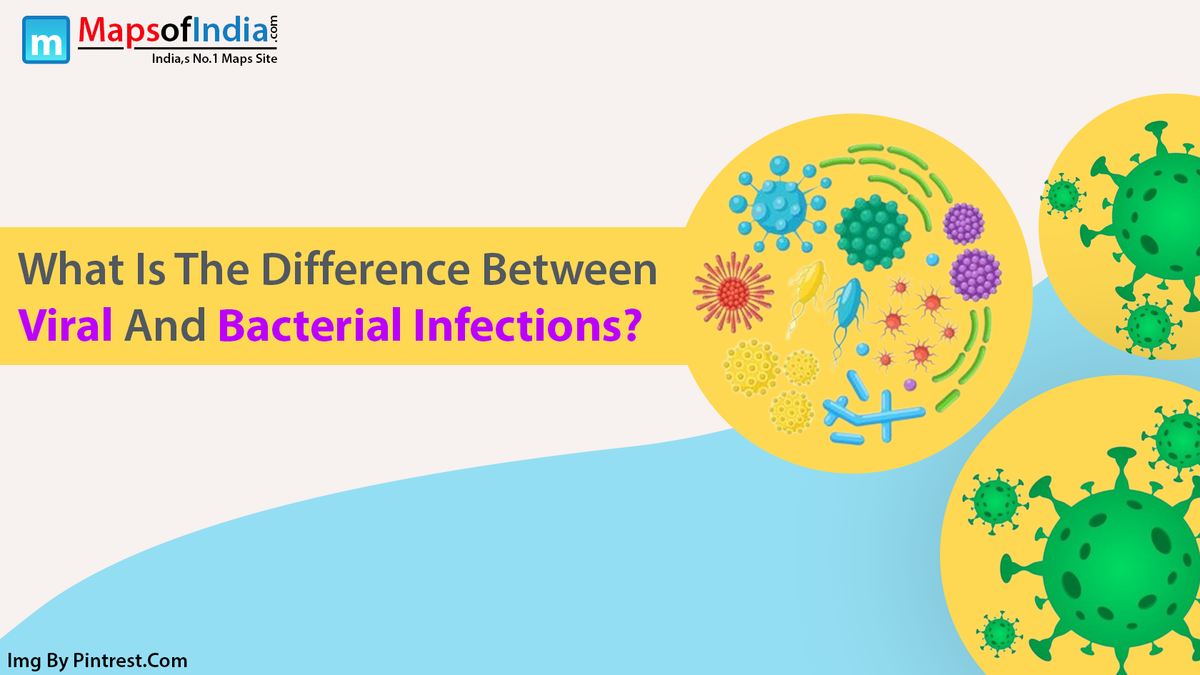 What Is The Difference Between Viral And Bacterial Infections?