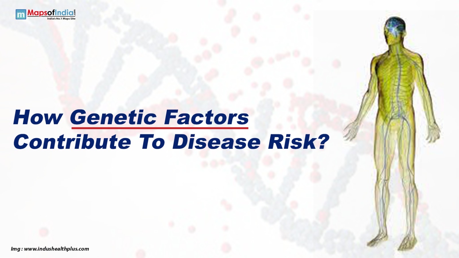 How Genetic Factors Contribute To Disease Risk?