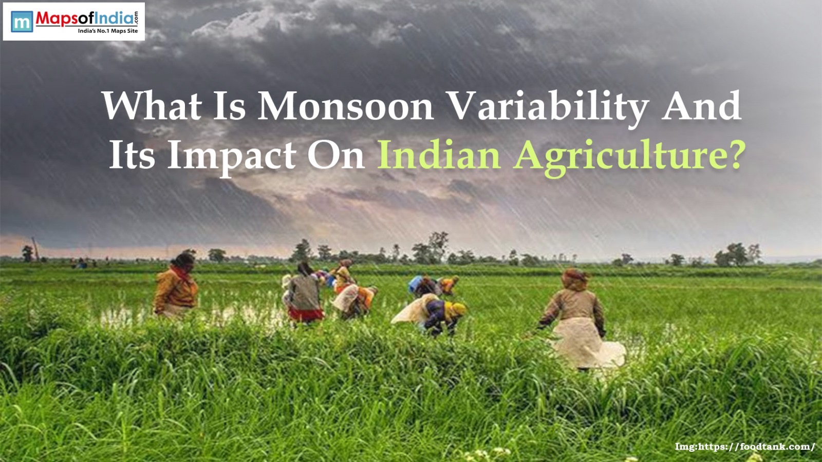 What Is Monsoon Variability And Its Impact On Indian Agriculture?