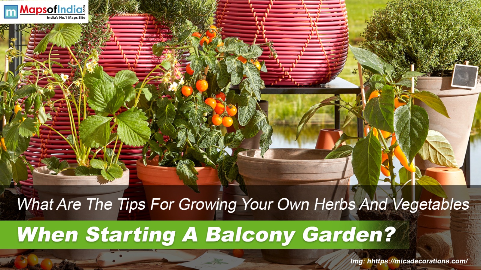 What Are The Tips For Growing Your Own Herbs And Vegetables When Starting A Balcony Garden?