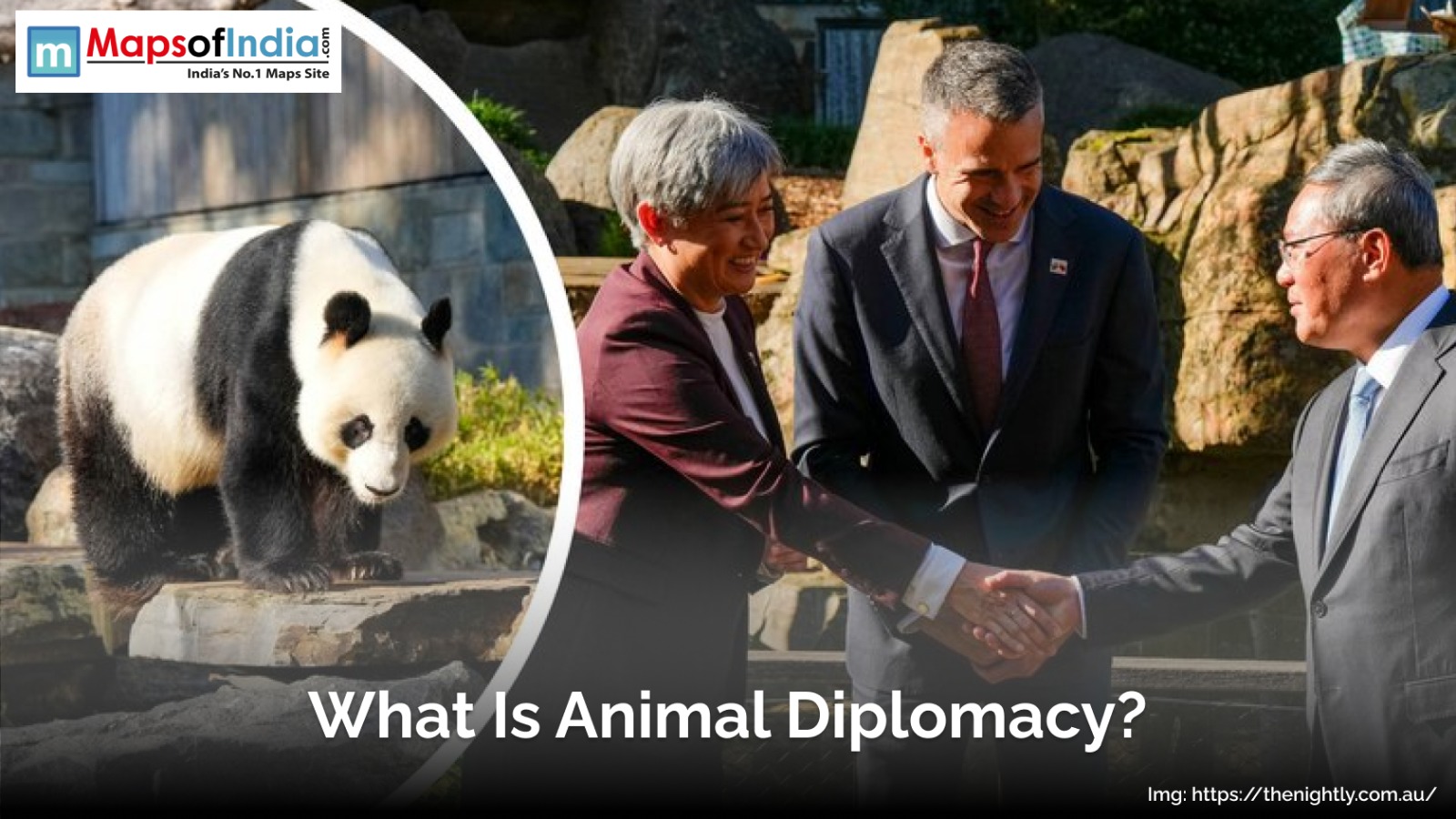 What Is Animal Diplomacy?