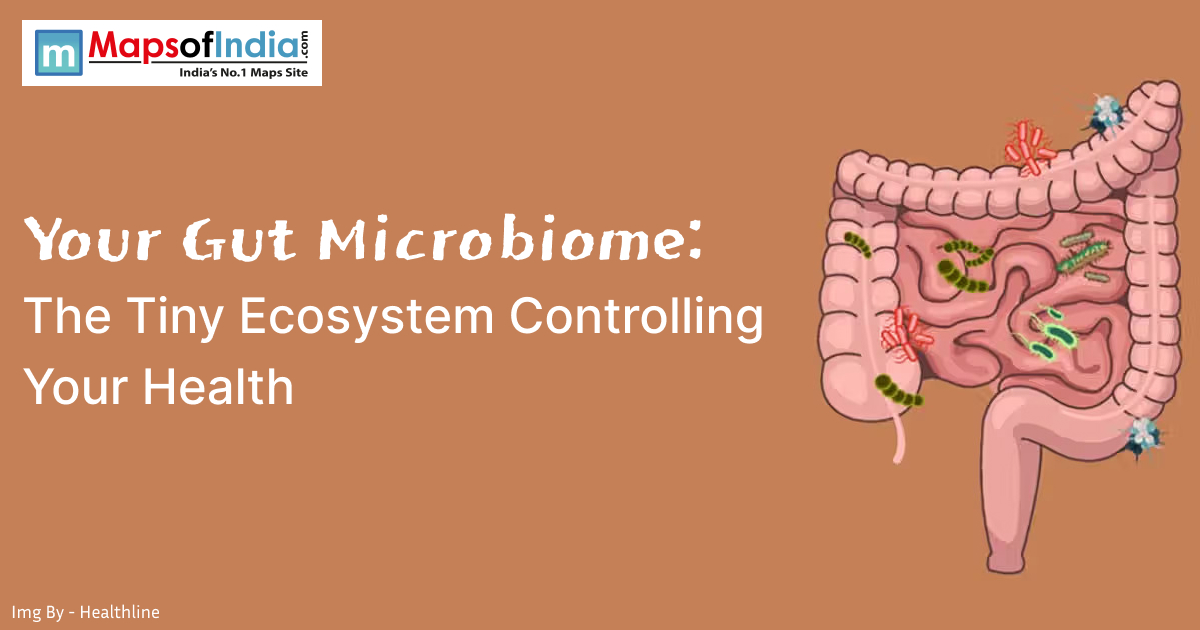 Illustration of the human gut with microbiome bacteria representing the connection between digestive health and overall wellness.