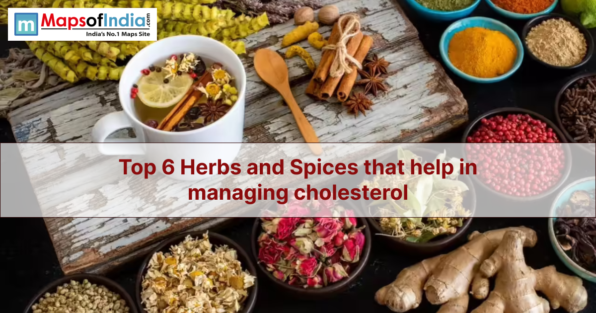 Image of Indian herbs