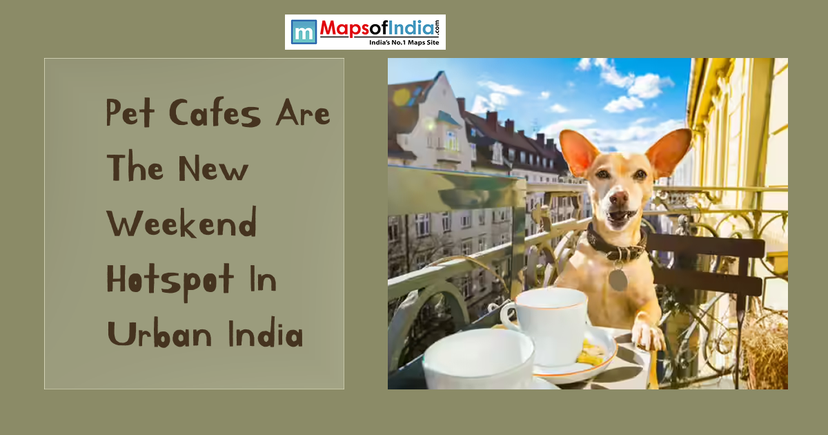Poster featuring a dog sitting at a café table with the text “Pet Cafes Are The New Weekend Hotspot In Urban India”.