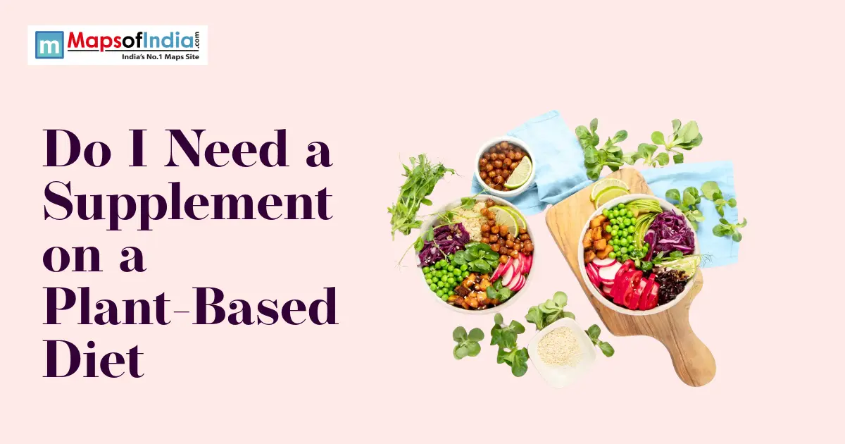 Plant-based meal bowls with fresh vegetables, legumes, and grains illustrating the topic of supplements and nutrition on a plant-based diet.