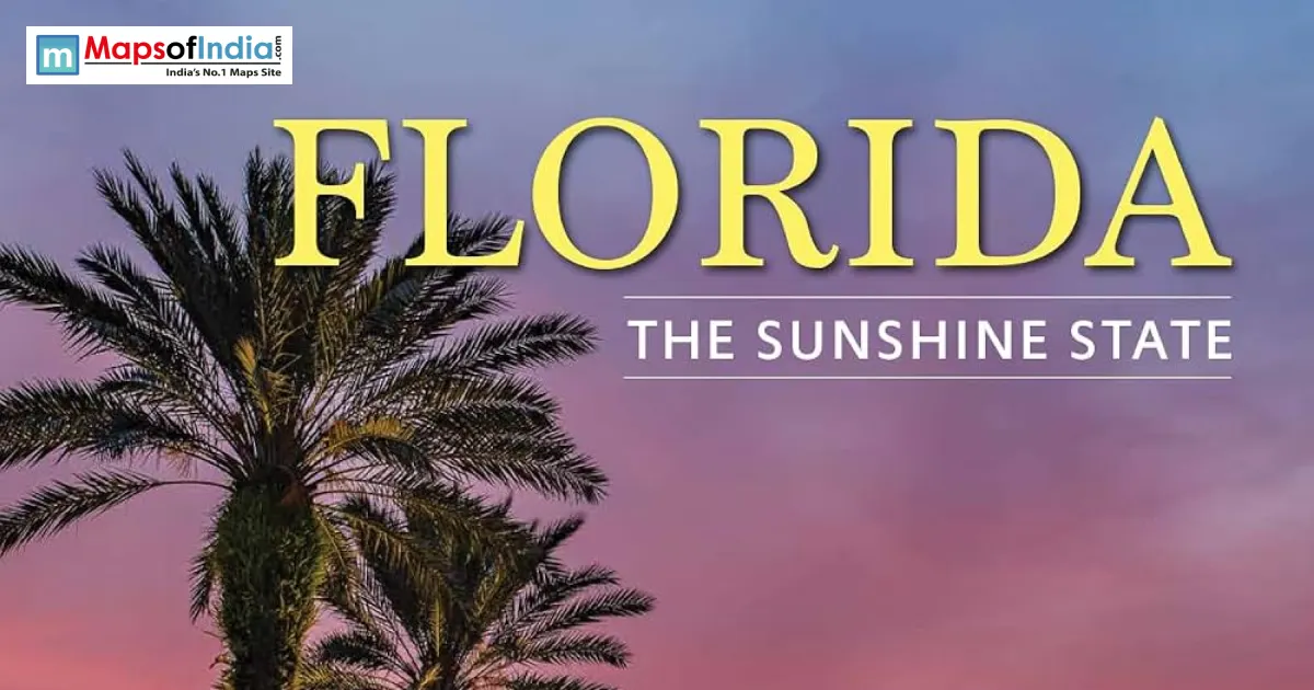 Palm trees at sunset representing Florida, the Sunshine State, known for its warm climate, beaches, and tropical landscapes.